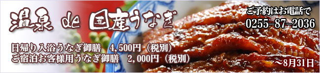 国産うなぎ御膳