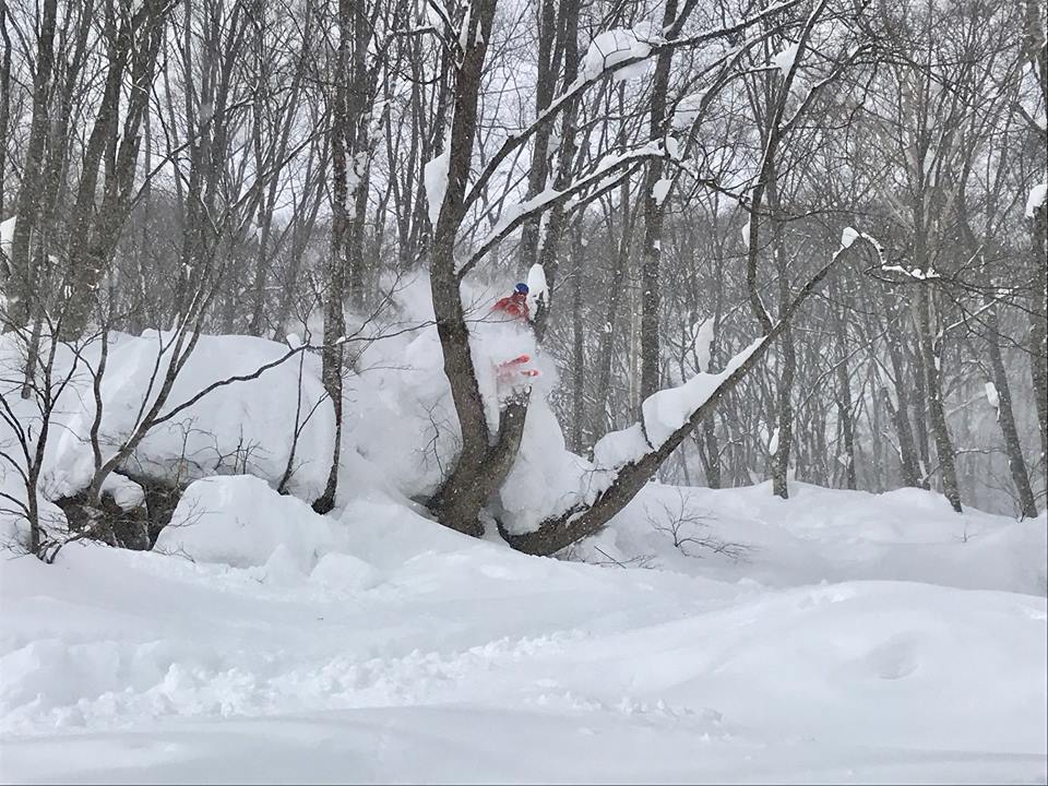 Ski scene