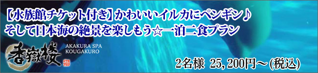 【水族館チケット付き】かわいいイルカにペンギン♪そして日本海の絶景を楽しもう☆一泊二食プラン