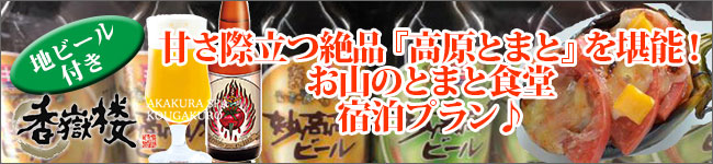お山のとまと食堂プラン