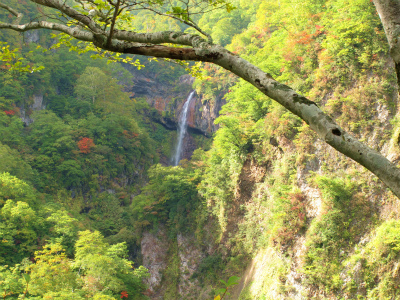 燕温泉惣滝10月12日