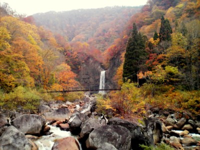 苗名滝11月5日③